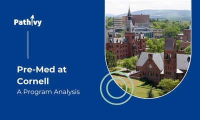 Navigating the Path to Medicine at Cornell University